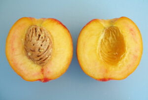 Can you cook an unripe peach? - can you cook an unripe peach