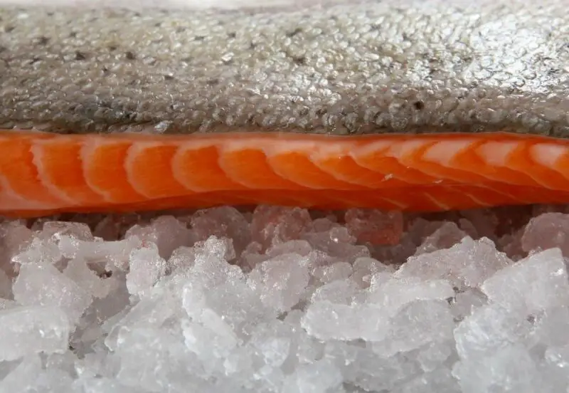 How long after defrosting should the fish be cooked?