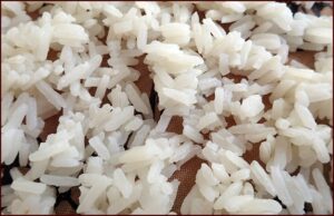 How much dry rice does 250g of cooked rice make? - how much dry rice does 250g of cooked rice make