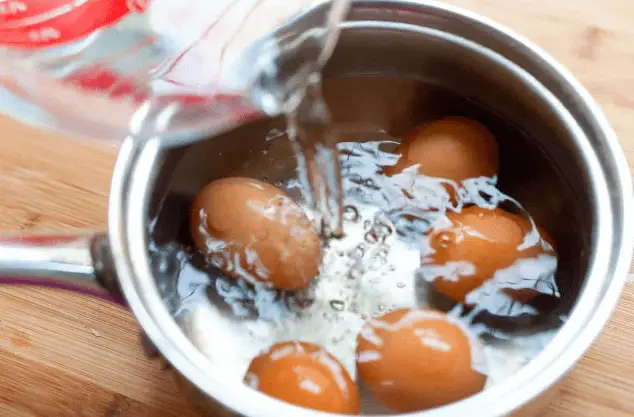 What Plants Like Boiled Egg Water?