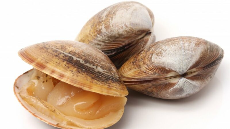 how do you know if clams are bad after cooking