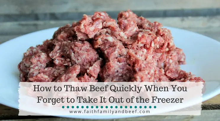 how to defrost cooked meat