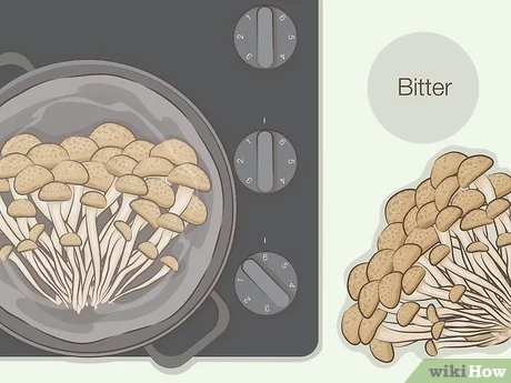 often asked how to cook beech mushrooms